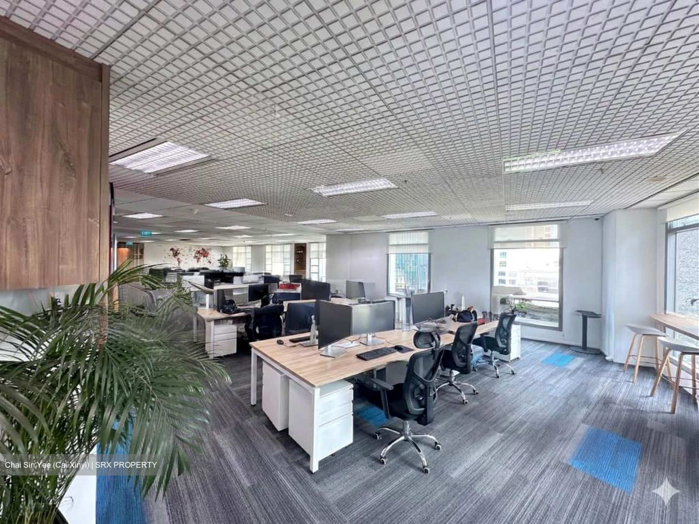 Bugis Junction (D7), Office #532993411